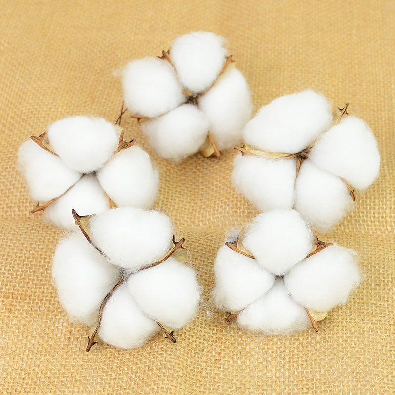 Florist Wreath Supply - 10 Buah Perlengkapan Florist Katun Putih